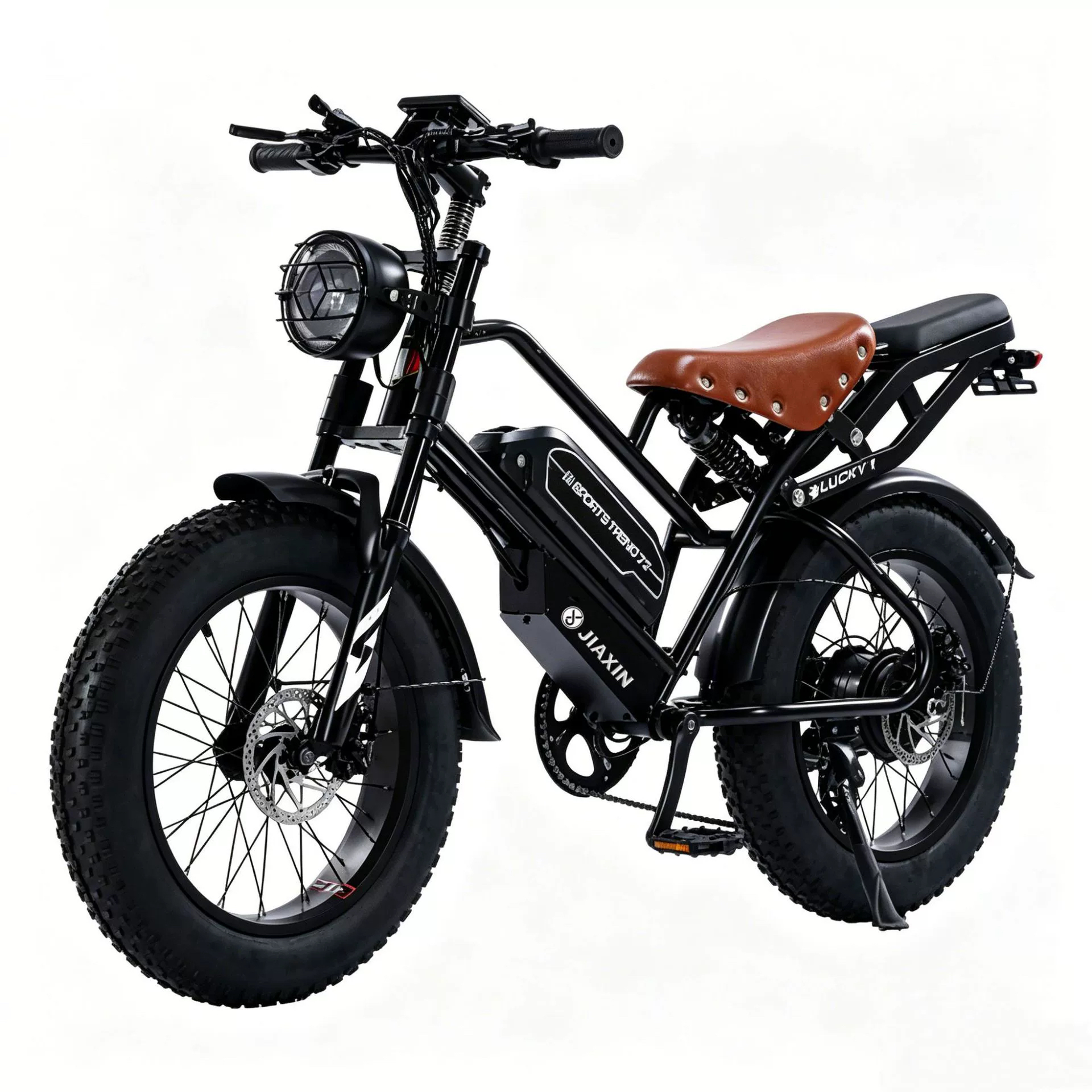 Outdoor Adventure Fat Tire Bike Snow Sand Beach Mountain Bicycle OEM Available