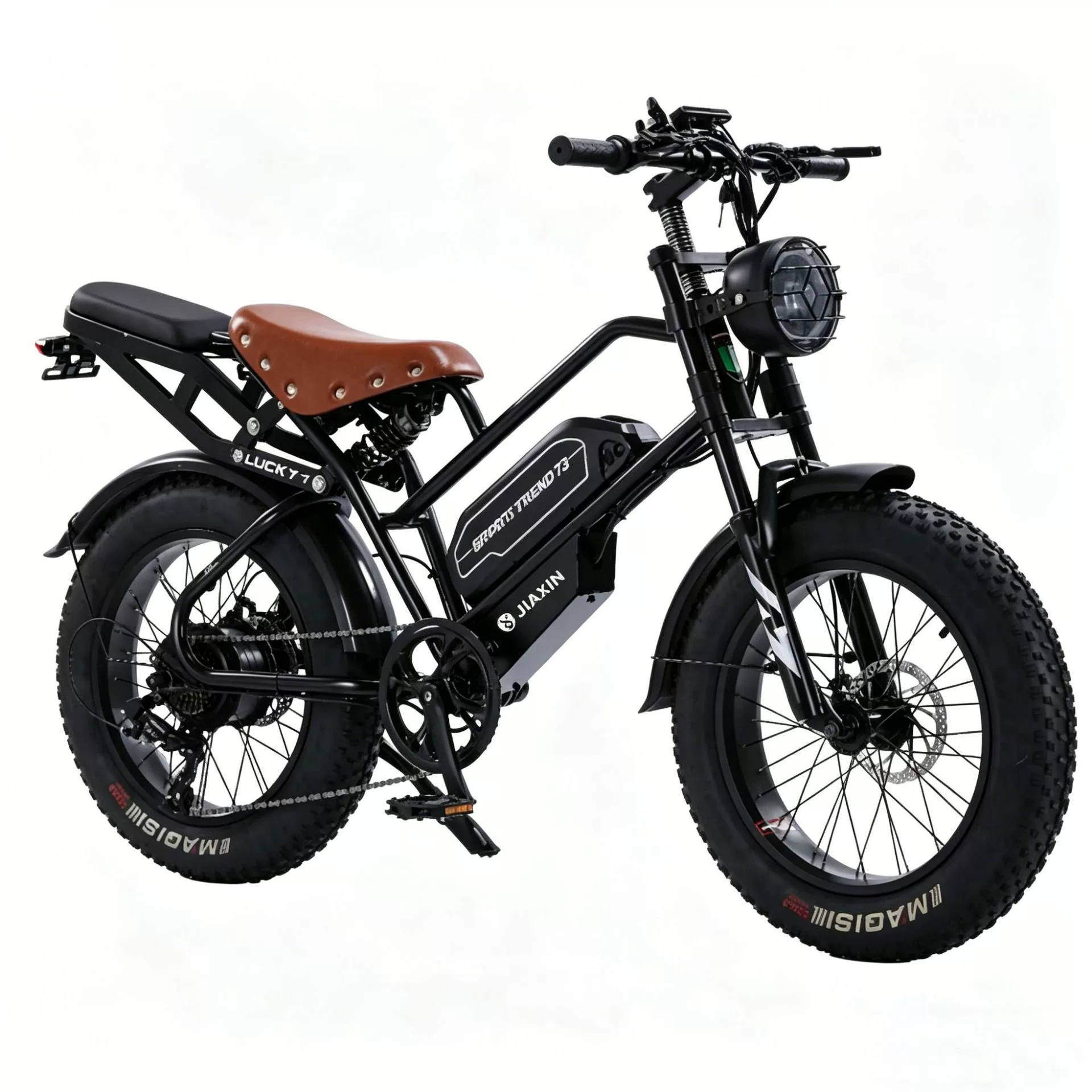 Outdoor Adventure Fat Tire Bike Snow Sand Beach Mountain Bicycle OEM Available