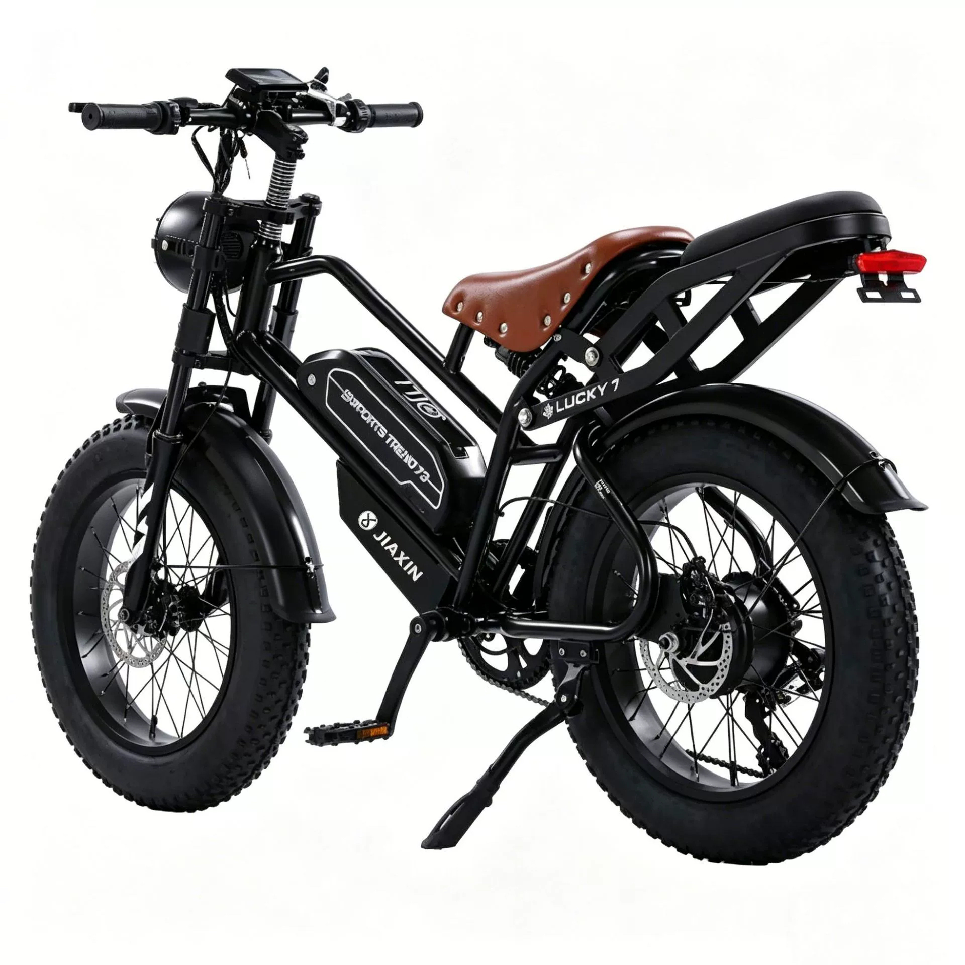 Outdoor Adventure Fat Tire Bike Snow Sand Beach Mountain Bicycle OEM Available