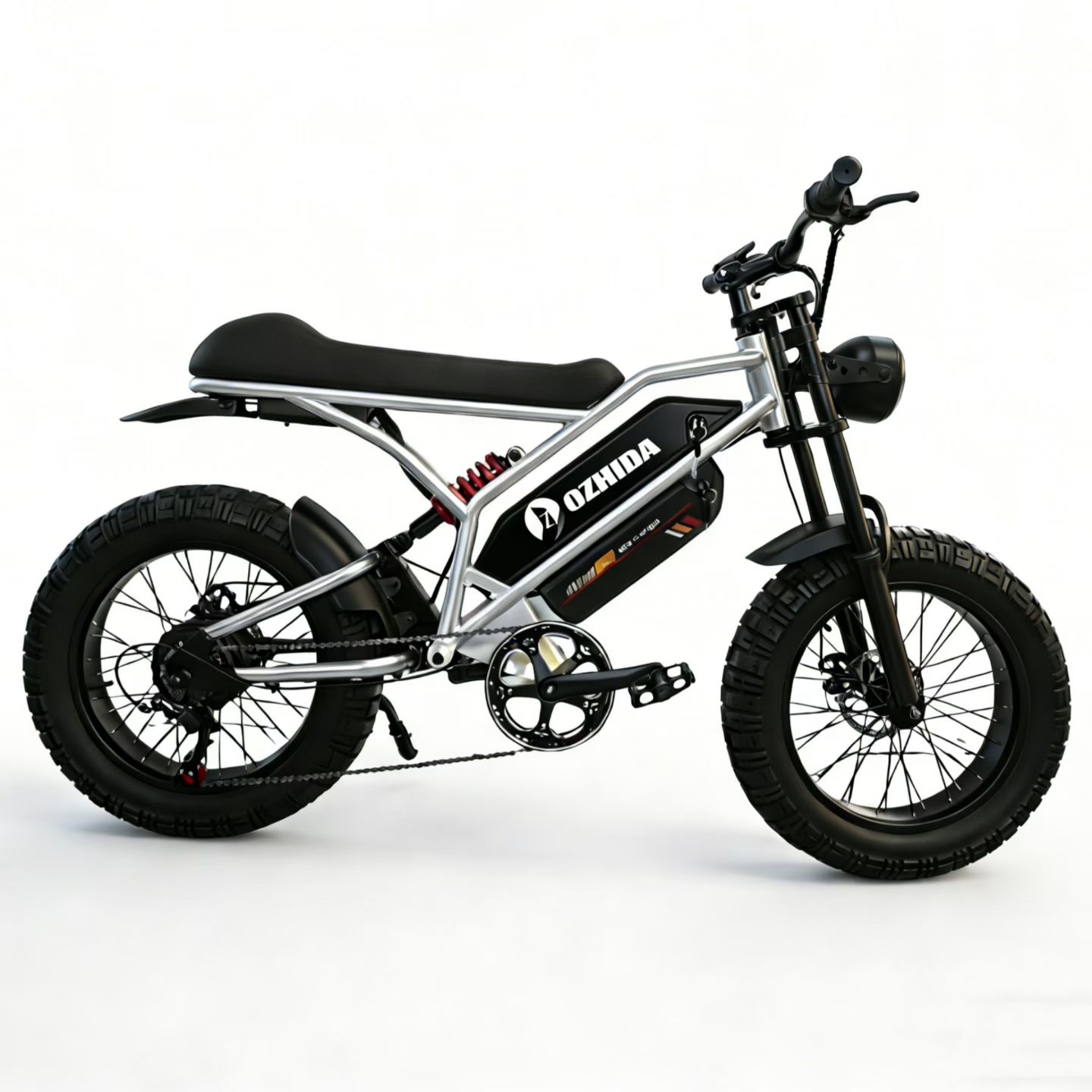 Twins Batteries Fat Tire Snow Electric Bike off-Road Mountain E-Bike
